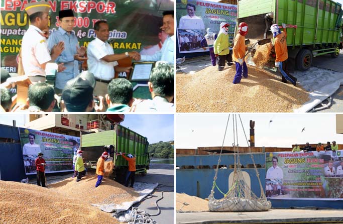 Ekspor Jagung NTB ke Filipina, Kepala BKP Kementan Apresiasi Komitmen Petani